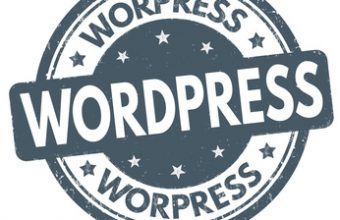 Wordpress Updates